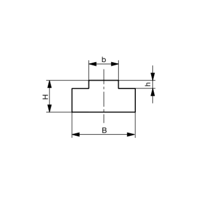 Láncvezető T-Dupl., 5/8x 3/8´ (2 m-es szálakban), PE-UHMW (ultranagy molekulájú polietilén) orig. Láncvezető T-Dupl., 5/8x 3/8´ (2 m-es szálakban), PE-UHMW (ultranagy molekulájú polietilén) orig.
